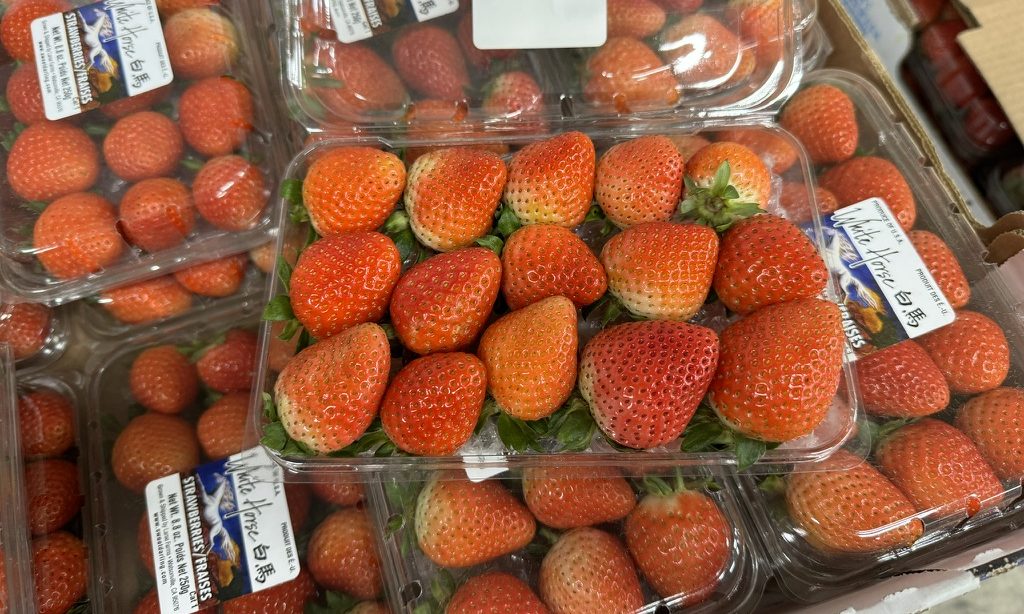 白馬・自社ブランド/US Fresh Berries White Horse