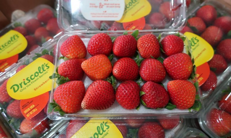 いちご(アメリカ産)/ US Flesh Berries