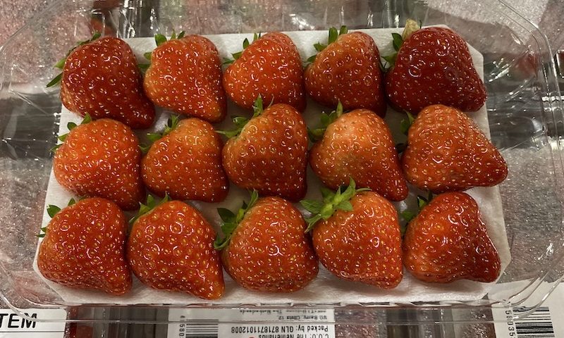 オランダ産いちご